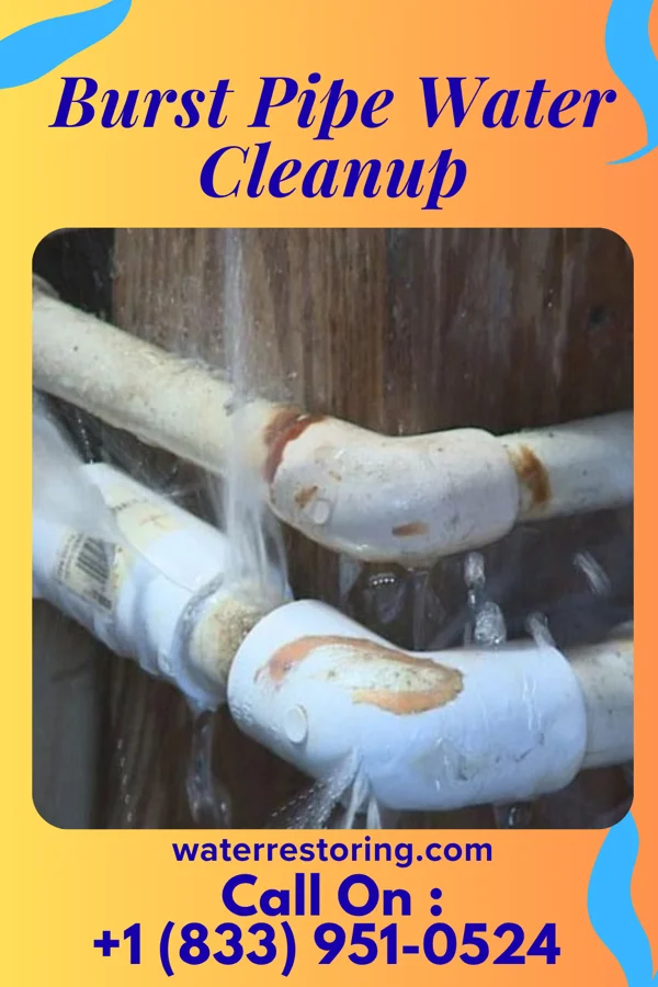 Burst Pipe Water Cleanup in East Altoona, PA