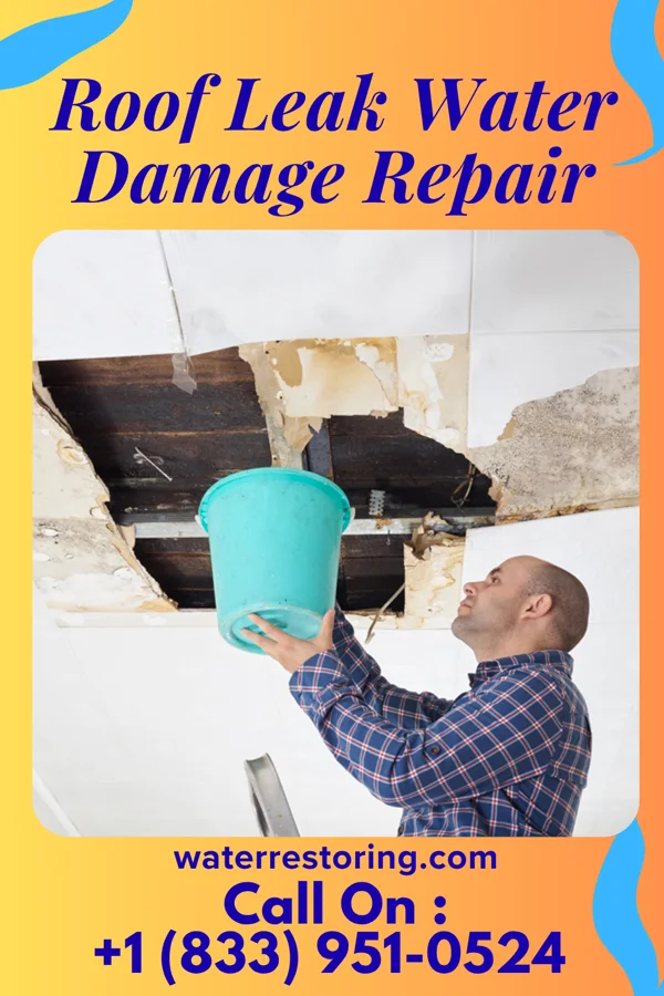 Roof Leak Water Damage Repair in East Altoona, PA