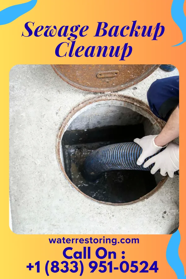 Sewage Backup Cleanup in East Altoona, PA