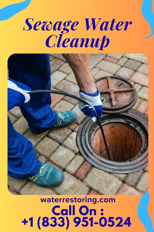 Sewage Water Cleanup in East Altoona, PA